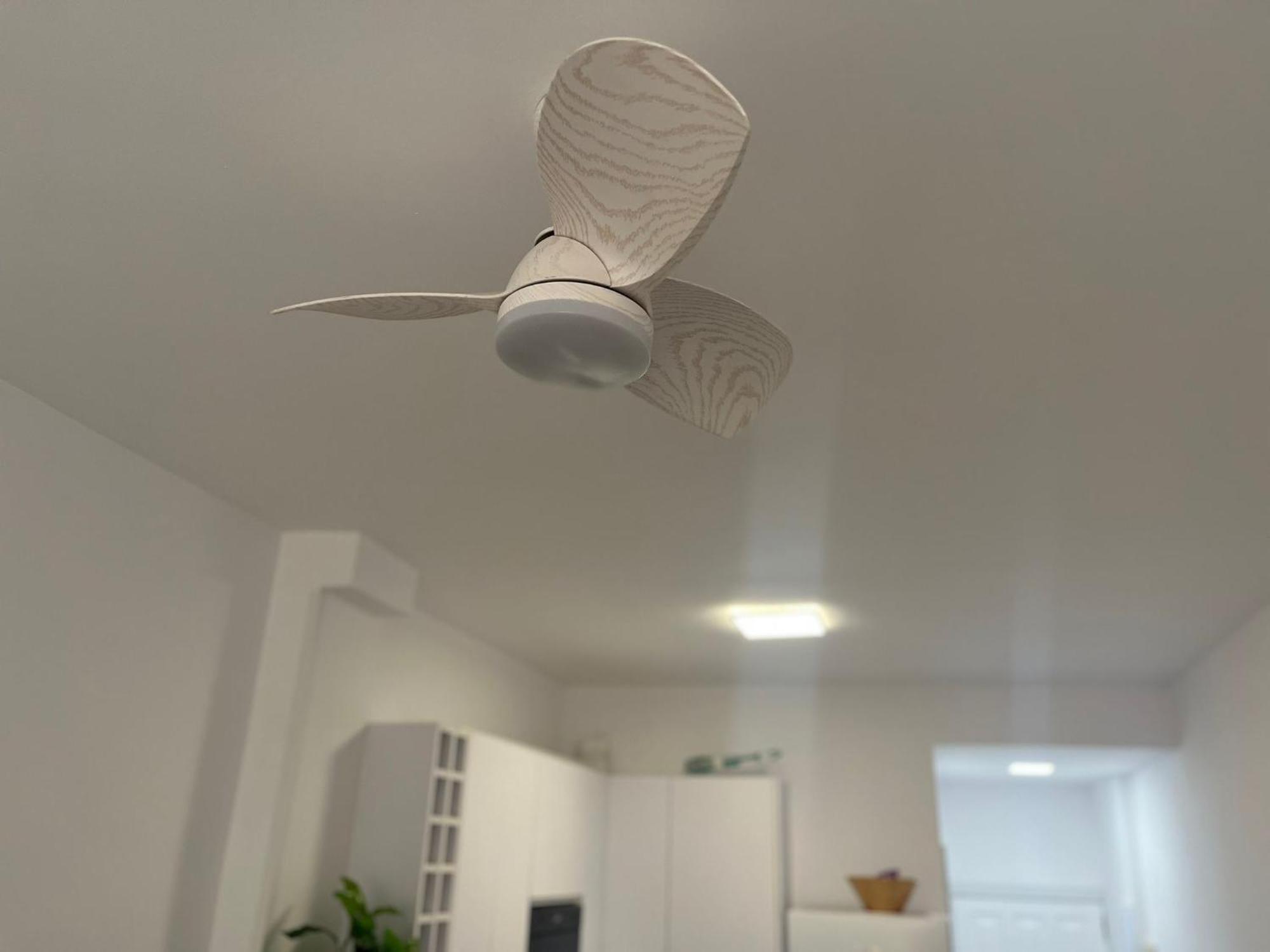 Mirlo Canteras Λας Πάλμας ντε Γκραν Κανάρια Εξωτερικό φωτογραφία