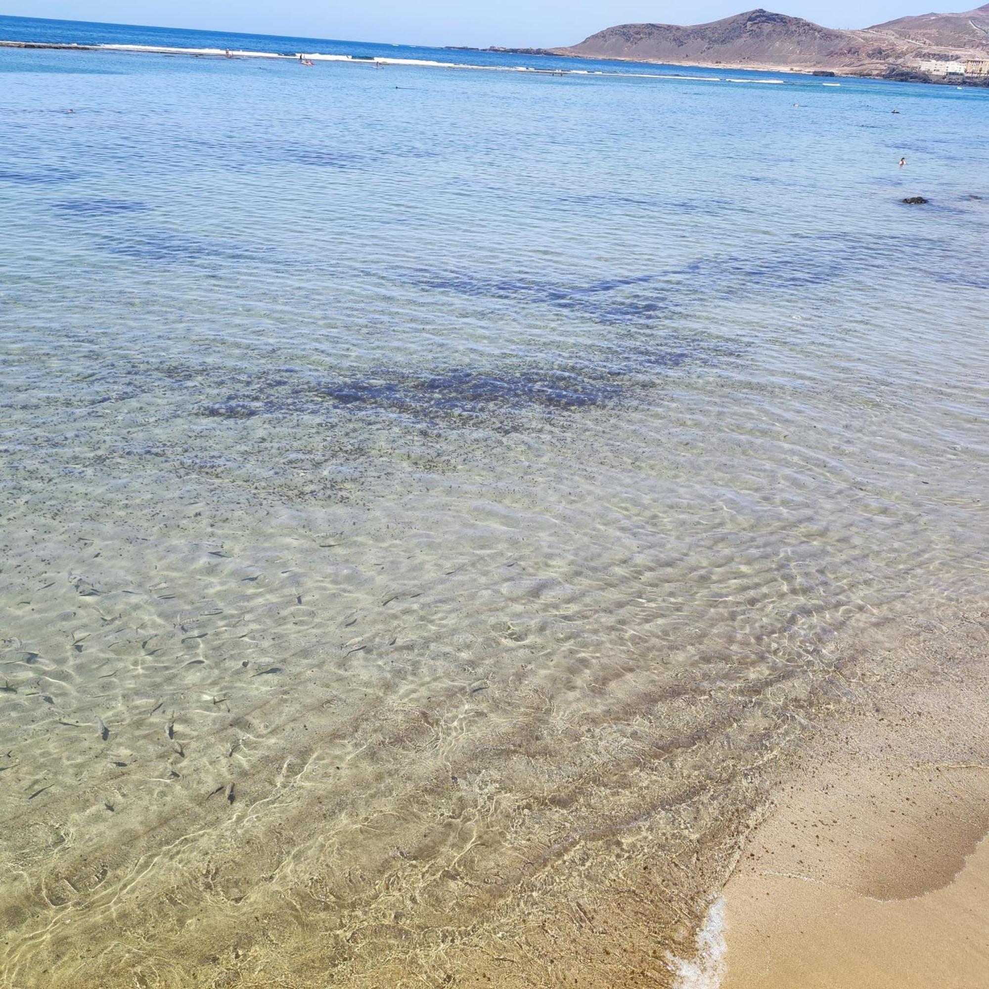 Mirlo Canteras Λας Πάλμας ντε Γκραν Κανάρια Εξωτερικό φωτογραφία